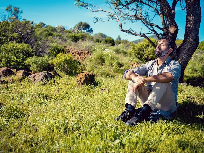 a man sitting under a tree in the grass